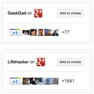 google+ badge