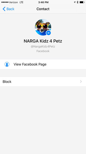 view facebook page profile in messenger app
