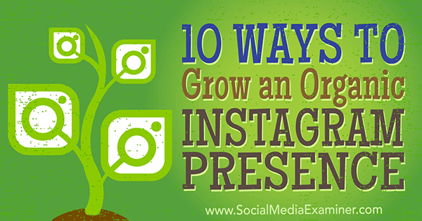 organic marketing tips to increase instagram followers