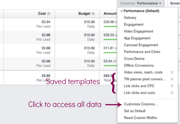 Click on Columns to access all of the data from your Facebook ads.