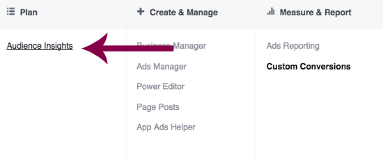 Navigate to Audience Insights in Facebook Ads Manager.