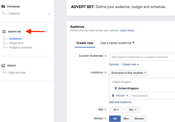 The middle level of the Facebook campaign structure is where you choose your targeting, placement, budget, and schedule.