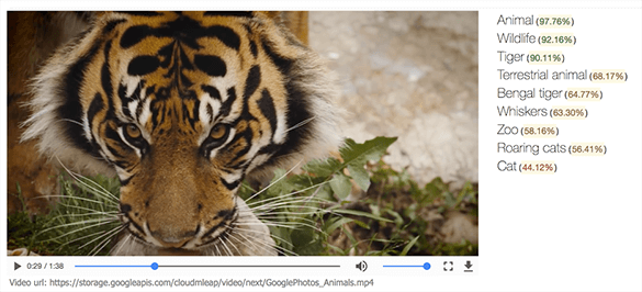 Google announced the upcoming launch of a new machine learning API that will automatically recognizing objects in videos and makes them searchable.