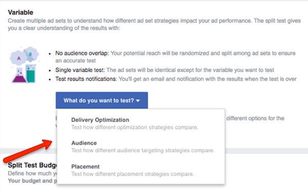 Select which variable to test in your Facebook campaign.