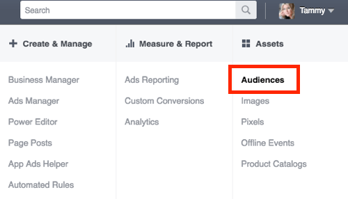 Vá para a seção Audiências do Gerenciador de anúncios do Facebook.