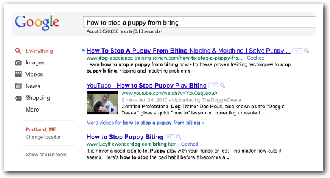 how to stop a puppy from biting