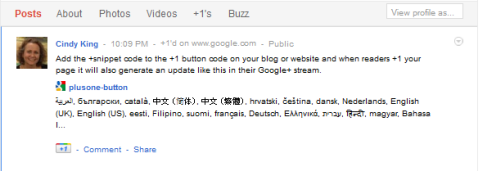 google +1 snippet update