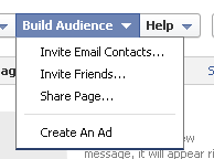 build audience