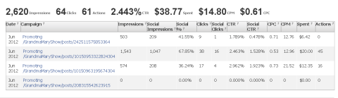 advertising detailed report