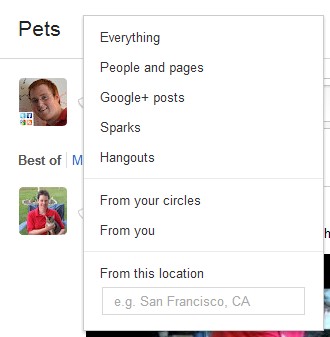 google plus search 1