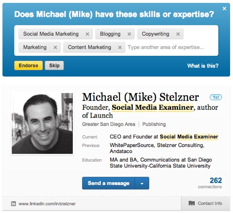 michael stelzner linkedin skills endorsement