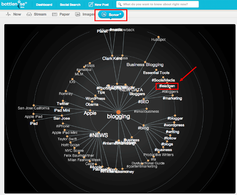 bottlenose sonar section