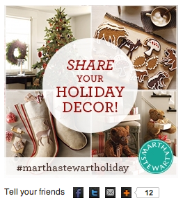 martha stewart instagram contest