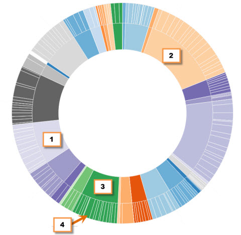 graphical display of most popular post