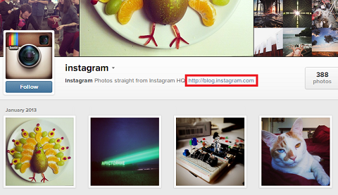 instagram web profile website