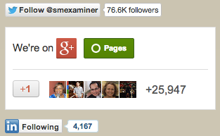 Social Follow Buttons in Blog Sidebar
