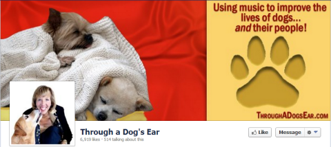 through a dogs ear