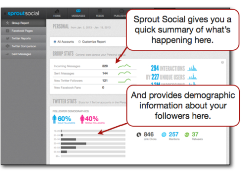 Sprout Social summary demographics