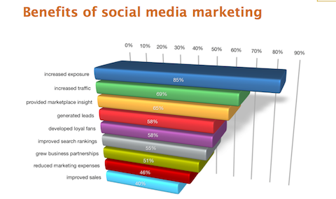 2012 social media marketing industry report