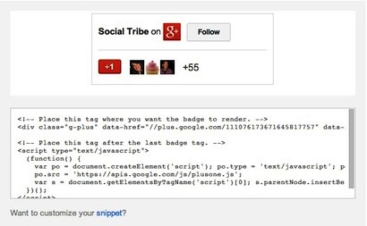 example of google+ badge code