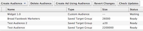 custom audience status