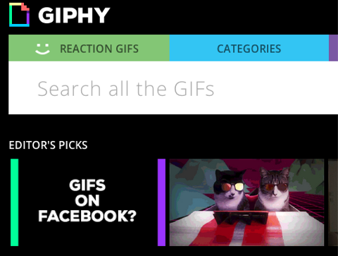 giphy on facebook