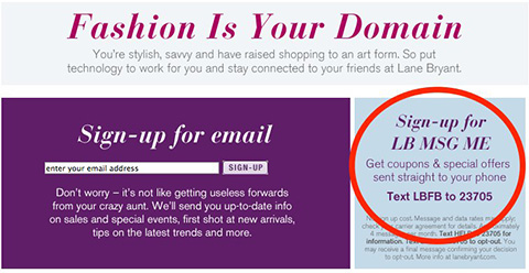 lane bryant with call to action to graphic