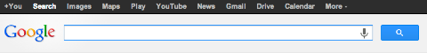 google search bar