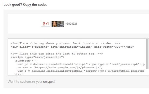 google-plus-button-code