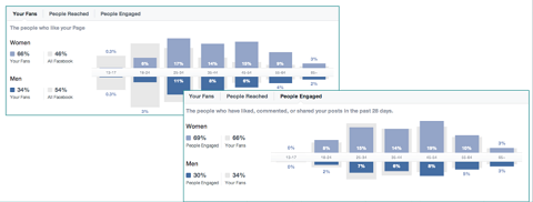 demographics of likes versus engagement