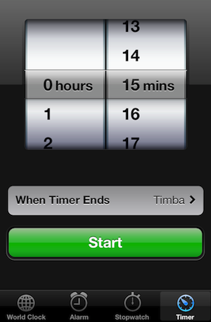 timer clock
