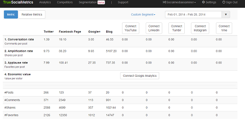 truesocialmetrics report overview