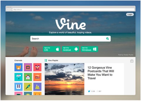 vine new look