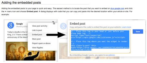 google plus post embed code