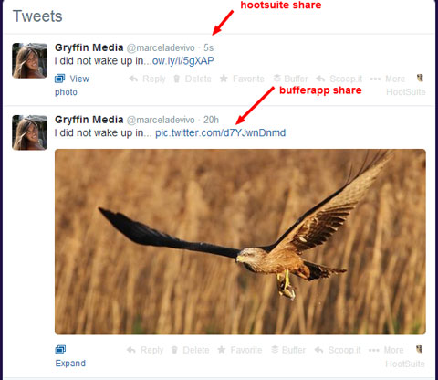 image share comparison for hootsuite and buffer