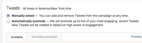 choosing promoted tweet campaign manual upload