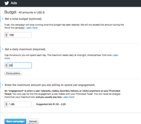 promoted tweet campaign budget