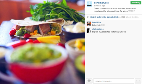 bondi harvest instagram profile