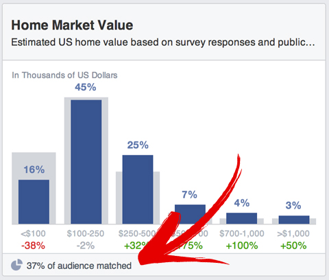 facebook audience insights match percentage