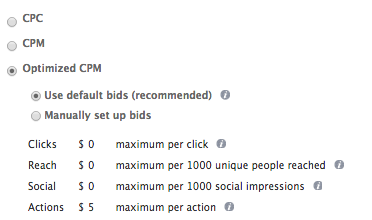 facebook ad bid options