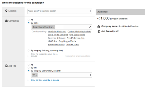 linkedin targeting options