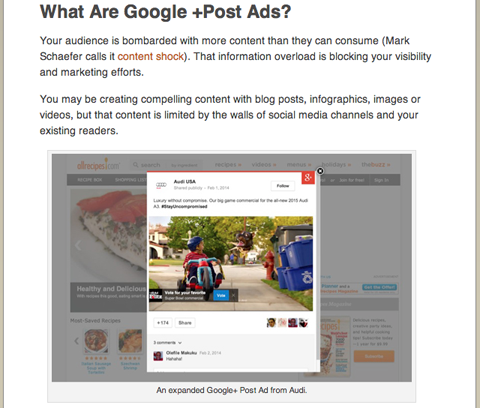 social media examiner marcela de vivo google plus article