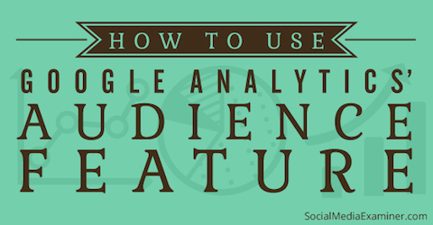 google analytics audience