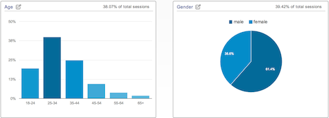 google analytics data demographics