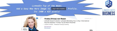 viveka von rosen linkedin hero image
