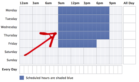 ad scheduling grid specific hours selection