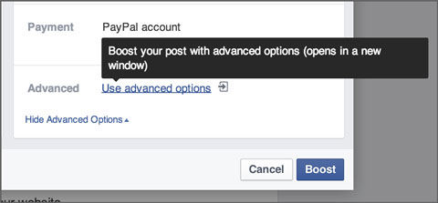facebook advanced options in ads
