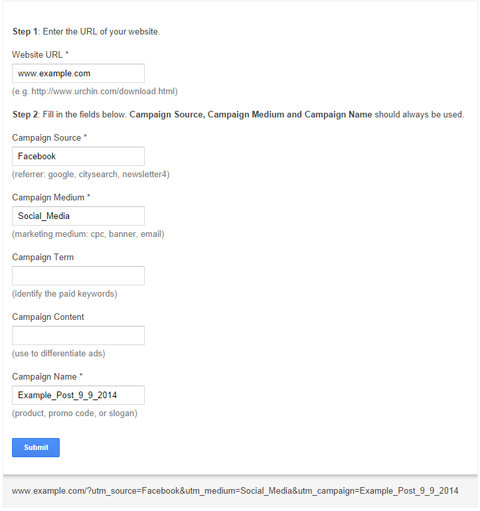 completed fields for custom utm parameters