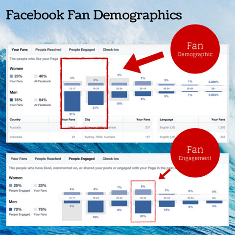 facebook fan demographic chart