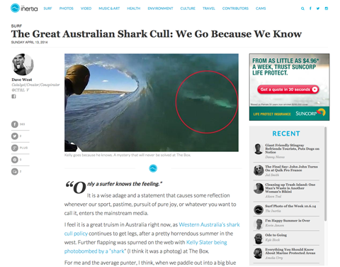 shark cull post